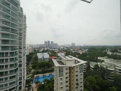 Studio 3 (D10), Apartment #519934681
